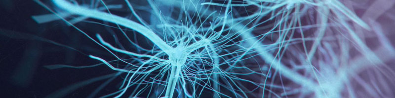 Il trauma superato si sposta in un’altra regione del cervello